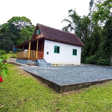 Villa Casa Do Tesouro Joinville Exterior foto